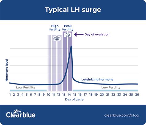 Graphic showing LH surge and ovulation timeline