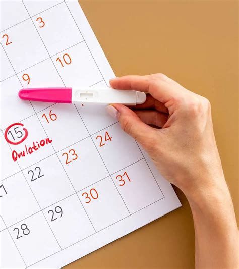 Calendar with marked fertile days