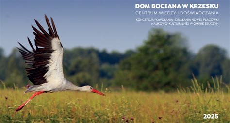 ilustrácie bociana prinášajúceho dieťa