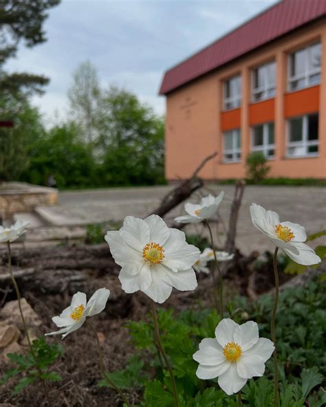 rodičia s dieťaťom pred budovou školy