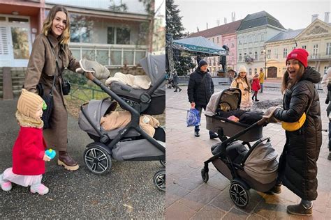 Kočík v tieni počas horúceho dňa