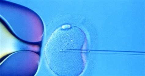 Zobrazenie buniek embrya pre genetické testovanie
