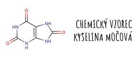 Diagram znázorňujúci vznik kyseliny močovej z purínov a jej vylučovanie z tela