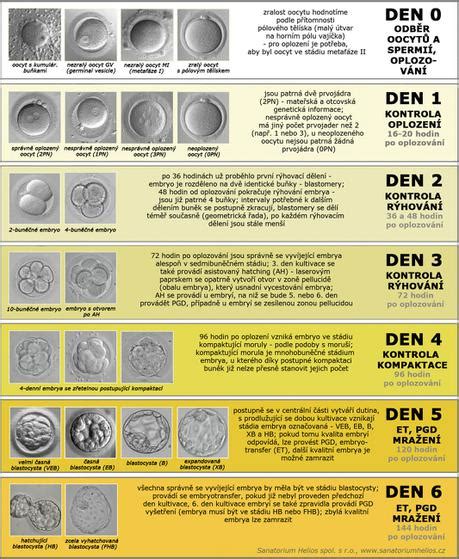 Porovnanie biopsie 3-dňového embrya a blastocysty