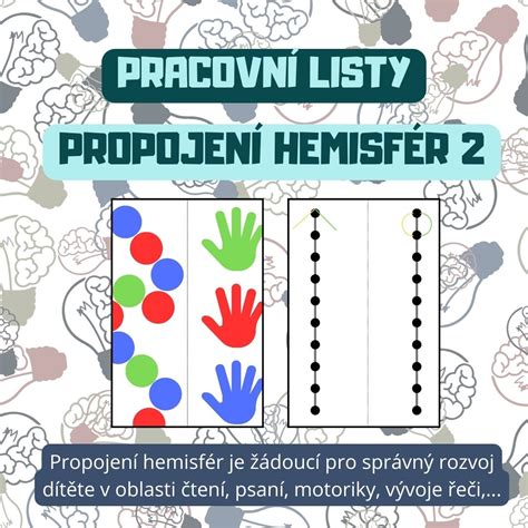 Ilustrácia mozgových hemisfér s označením ich funkcií