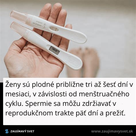 Prehľad typov cýst v ženskom reprodukčnom systéme