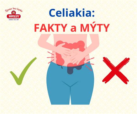 Mýty a fakty o plodnosti ilustrované graficky