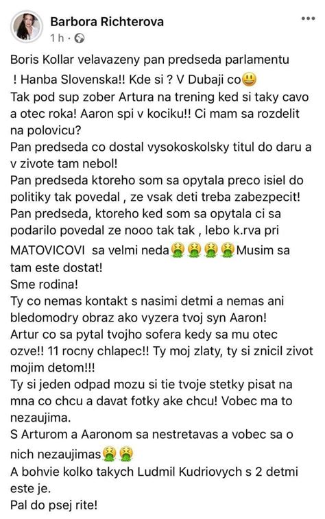 portrét Borisa Kollára v spoločenskom kontexte