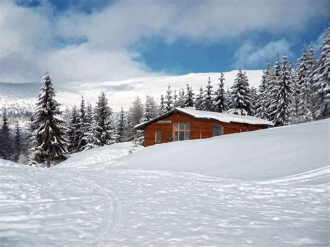 Zasnežená krajina s jedľou a snežnými vločkami