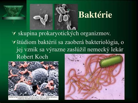 Ilustrácia bunkovej steny baktérie