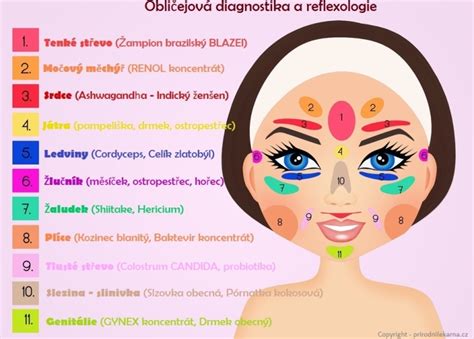 Mapa tváre s označením oblastí náchylných na vyrážky a ich možné príčiny.