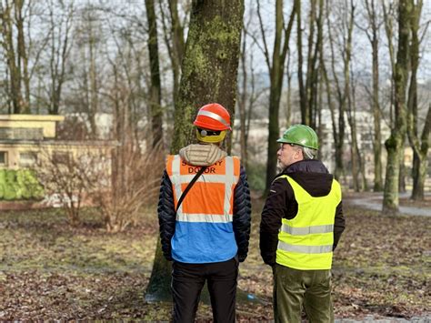 Skupina detí na prechádzke v parku pod dohľadom pedagóga
