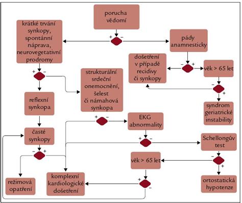 Diagnostický algoritmus nadmerného potenia