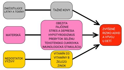 Schéma genetických a environmentálnych faktorov pri ADHD