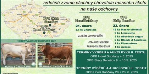 Dynamika partnerských vzťahov u Býkov
