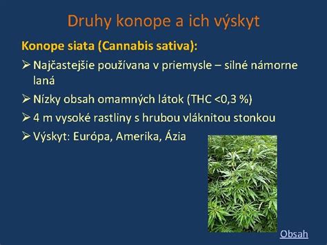 Zložky konope a ich využitie