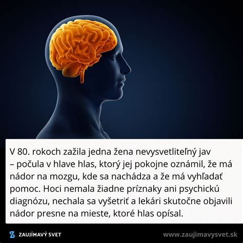 Ilustrácia ľudského mozgu s prekrvením