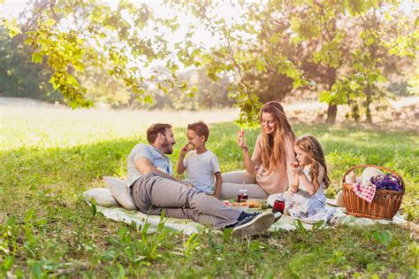 Family picnic in a park