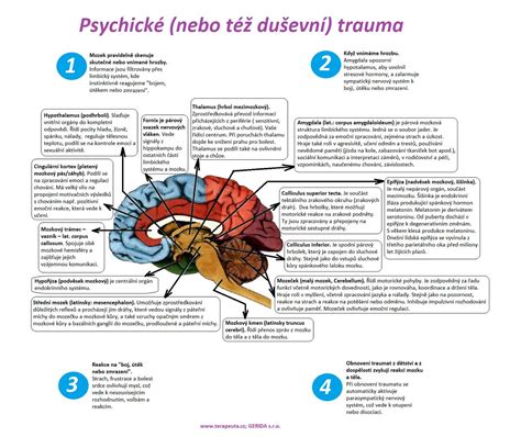 schéma medzigeneračného prenosu stresu a traumy