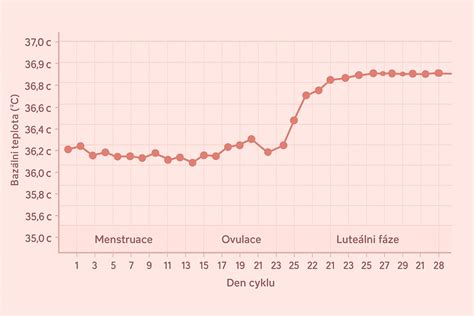 Graf denného cyklu telesnej teploty