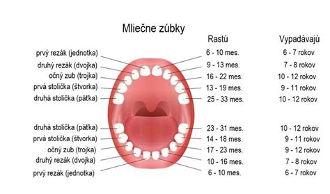 Rast zubov a vplyv cumlíka