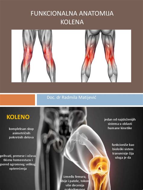 Schéma najčastejších zranení kolena