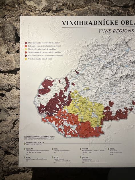 Mapa chorvátskych regiónov s pôsobnosťou slovenských policajtov