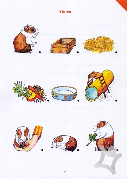 Ilustrácia symbolizujúca rozvoj komunikačných schopností