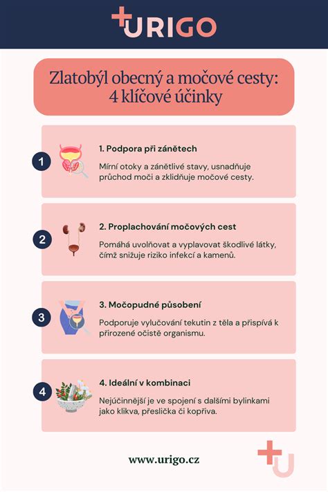 infografika o vplyve pitného režimu na močové cesty