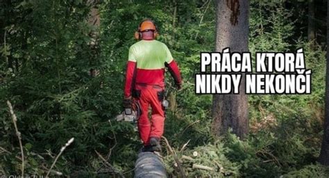 práca s priamočiarou pílou pri vyrezávaní oblúkov