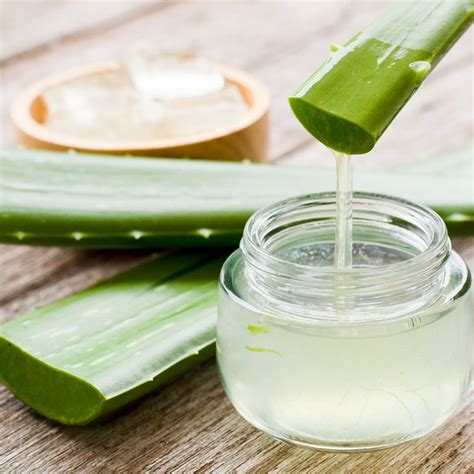 Zásaditá strava a aloe vera