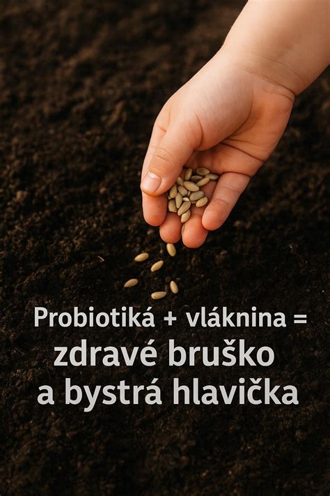 Celozrnné obilniny a strukoviny vhodné pre mamičky