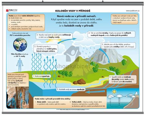 Infografika: Kolobeh nevhodného správania a rodičovských reakcií
