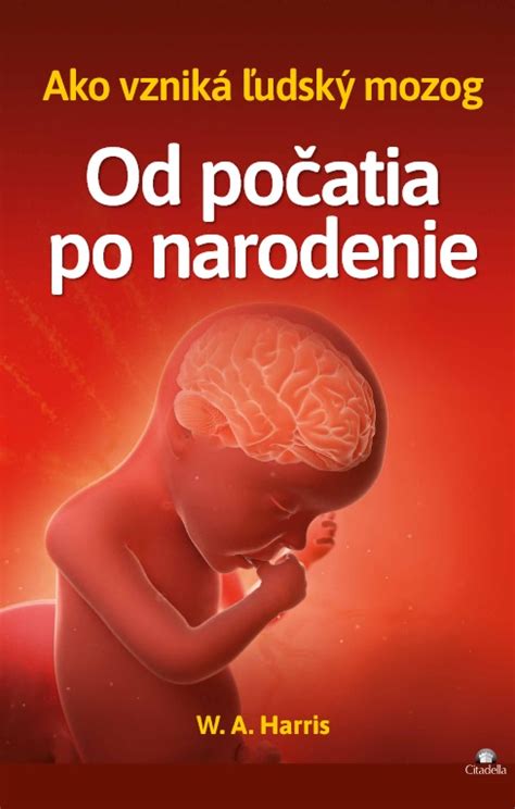 schéma vplyvov na vývoj dieťaťa od počatia po narodenie