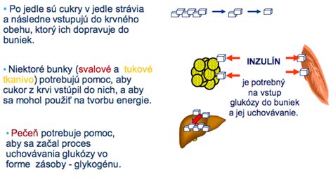 Schéma metabolizmu glukózy a úloha inzulínu v tele