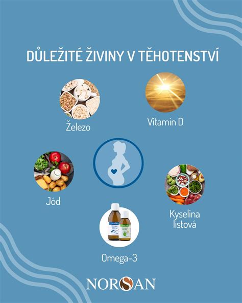 infografika znázorňujúca kľúčové živiny počas tehotenstva (kyselina listová, železo, vápnik)
