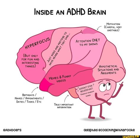 Zjednodušený diagram príčin ADHD