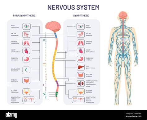 Diagram interakcie viacnásobného postihnutia