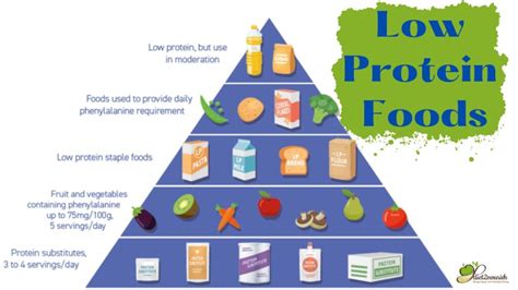 Food pyramid for low-protein diet