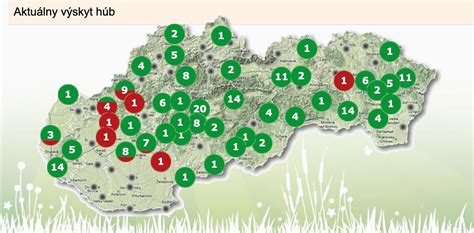 Mapa kritickej oblasti chromozómu 21