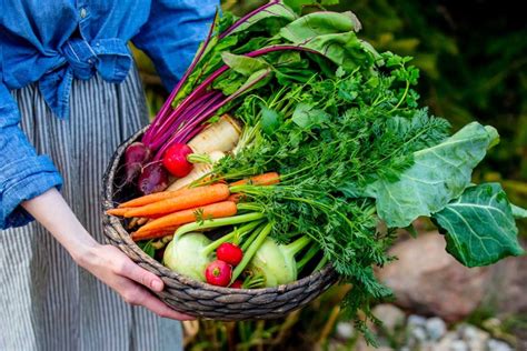 Ilustrácia rôznych druhov ovocia a zeleniny pripravených na vyfarbenie