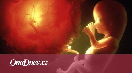 Obrázok znázorňujúci prechod alkoholu z matky na plod cez placentu