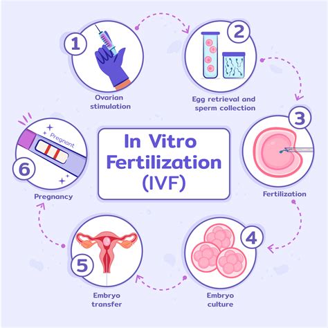 Infografika porovnania klasického a trojrodičovského IVF