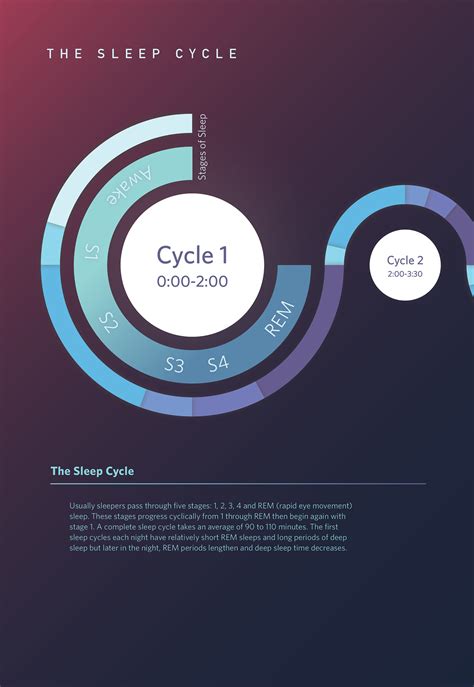sleep cycle infographic