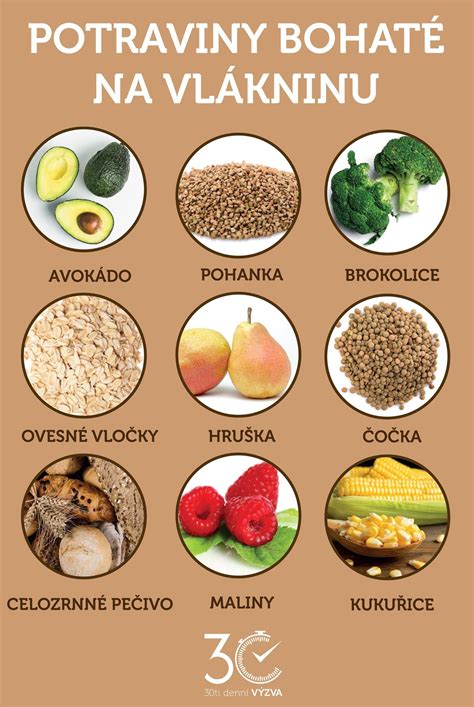 Infografika zobrazujúca potraviny bohaté na probiotiká a vlákninu