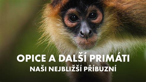Bábätko s otvorenými ústami sa usmieva na niečo mimo záberu
