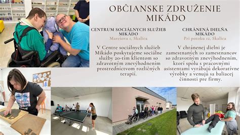 Schéma prepojenia rôznych typov sociálnych služieb pre MRK