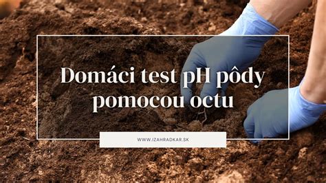 Deti objavujúce tajomstvá zdravej pôdy v Živej záhrade