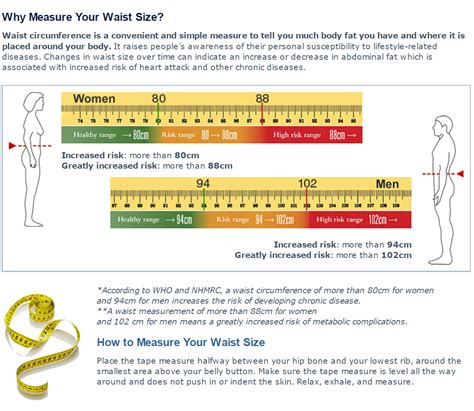 Comparison chart of healthy waist circumference for men and women
