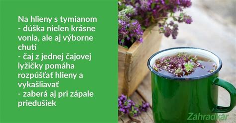 Obrázok: Bylinkové čaje na vykašliavanie hlienu